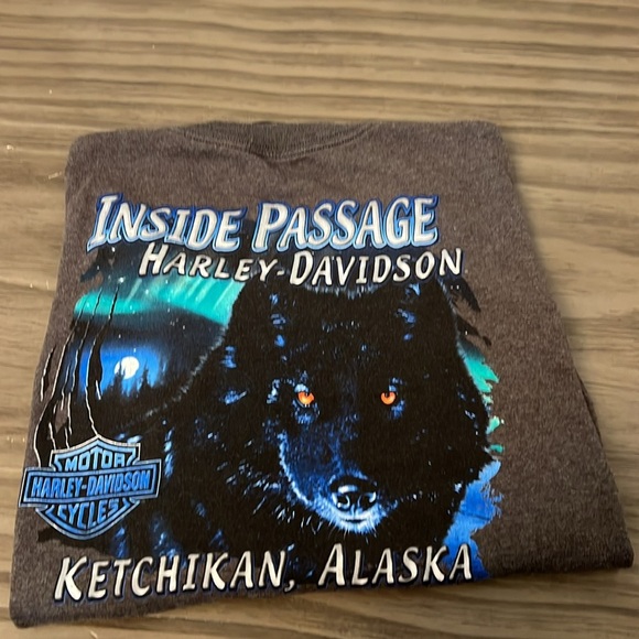 HARLEY DAVIDSON ALASKA GRAY TEE SHIRT MENS SIZE XL - Picture 12 of 12